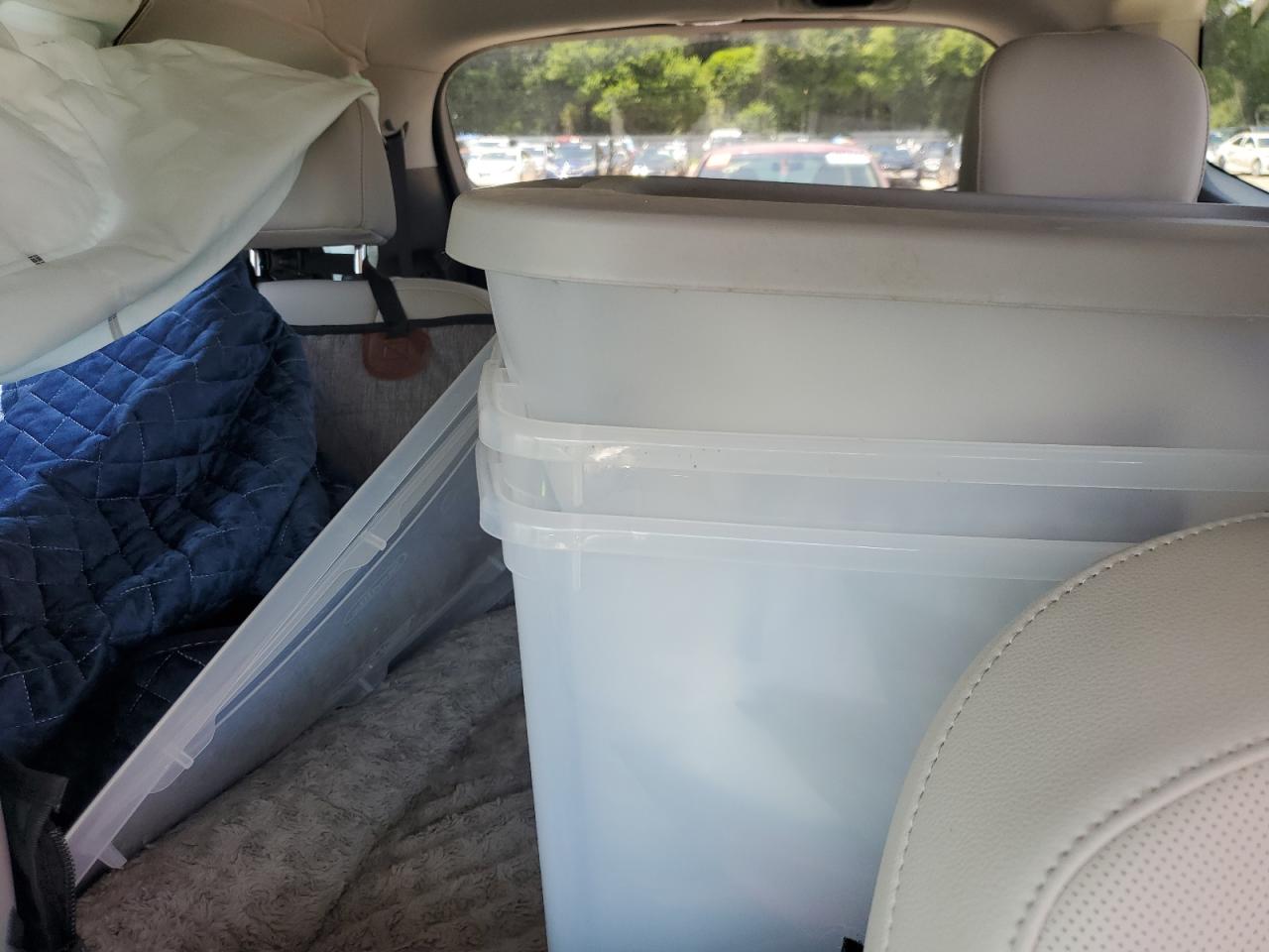 2024 Kia Telluride Ex VIN: 5XYP3DGC5RG491590 Lot: 67259165