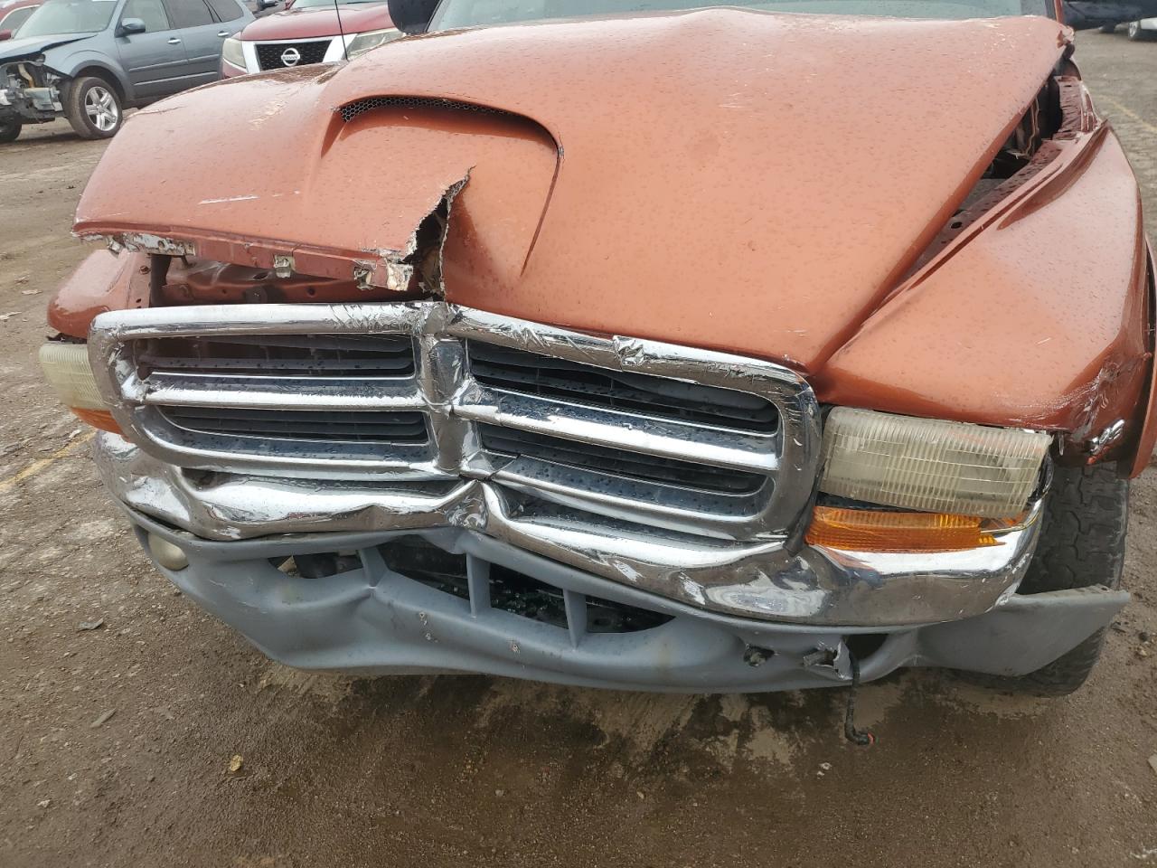 2000 Dodge Dakota VIN: 1B7GL22N3YS632629 Lot: 70145145