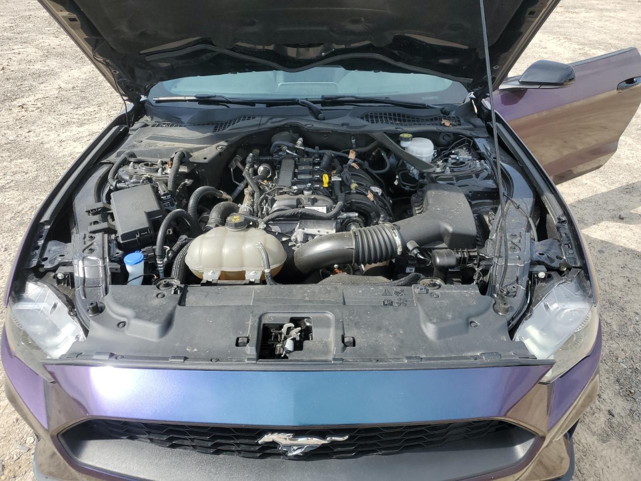 2022 Ford Mustang VIN: 1FATP8UH4N5119810 Lot: 70288465