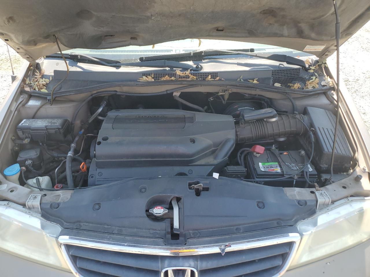 2004 Honda Odyssey Ex VIN: 5FNRL18624B025020 Lot: 69877115