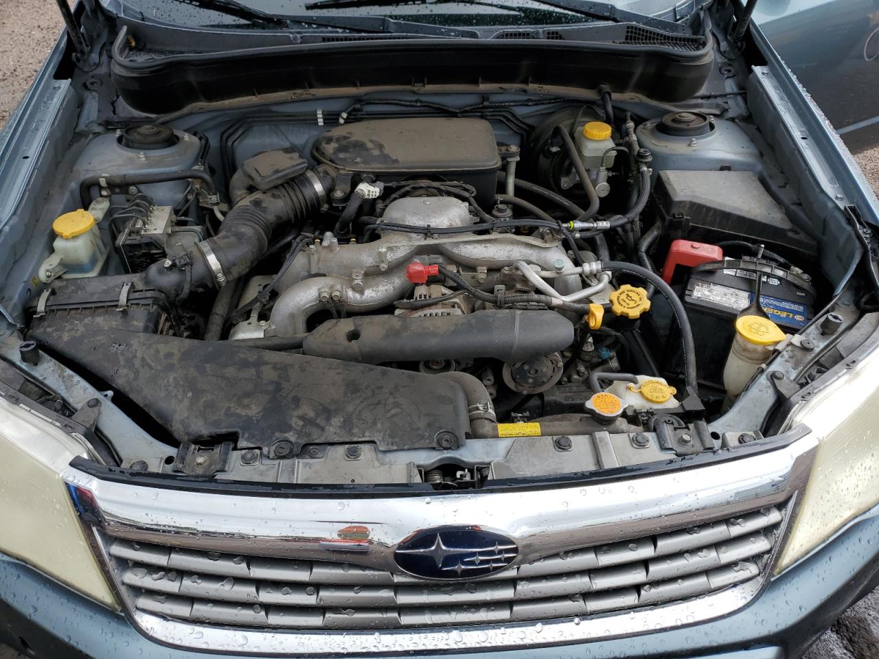 2010 Subaru Forester 2.5X Premium VIN: JF2SH6CCXAH787988 Lot: 70473665