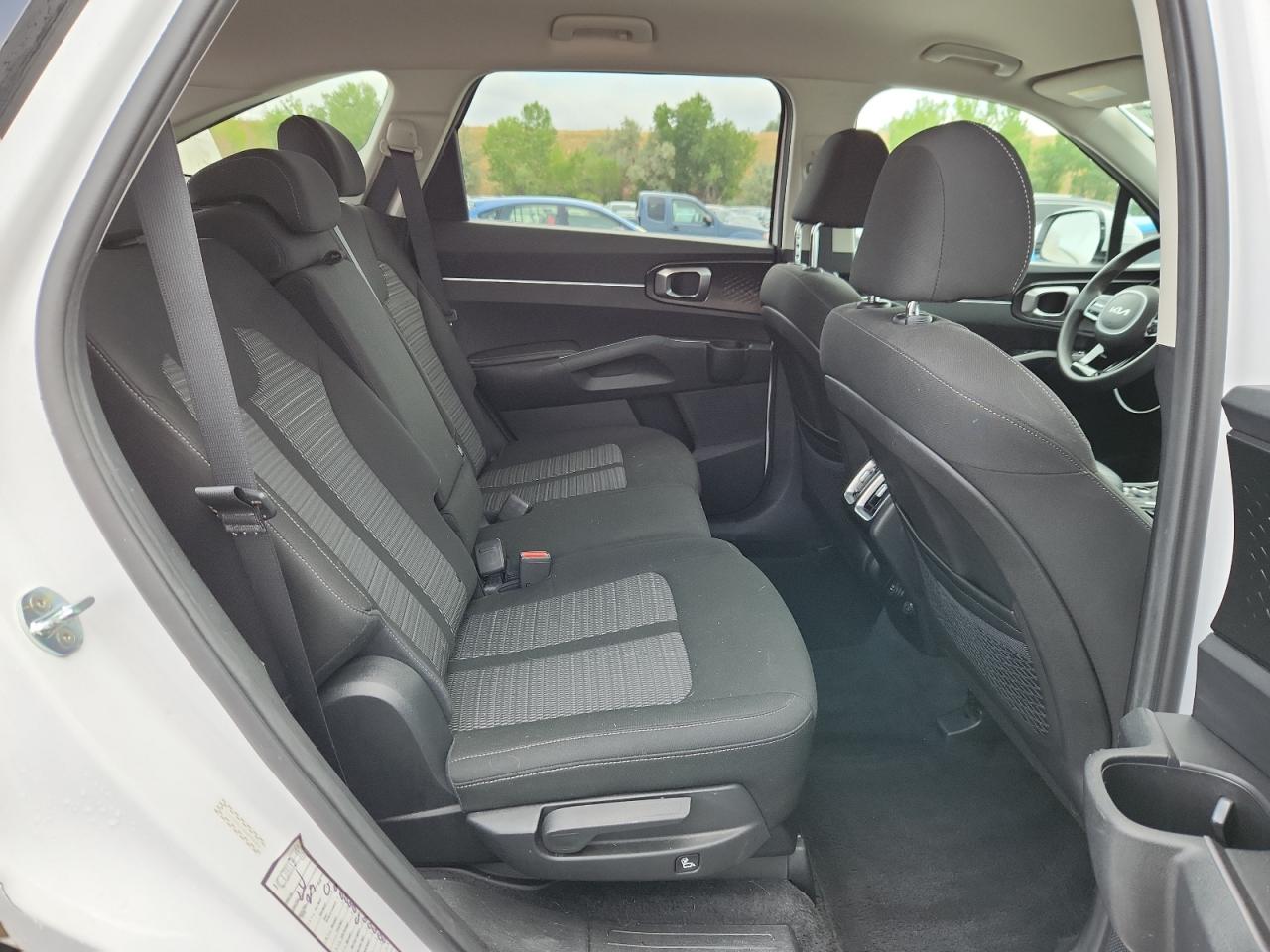 2022 Kia Sorento Lx VIN: 5XYRGDLC6NG098386 Lot: 69978525