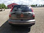 2011 HONDA CR-V EX   à vendre chez Copart ON - LONDON