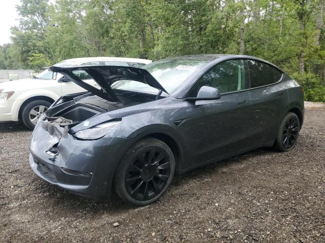 2023 TESLA MODEL Y    à vendre chez Copart ON - COOKSTOWN