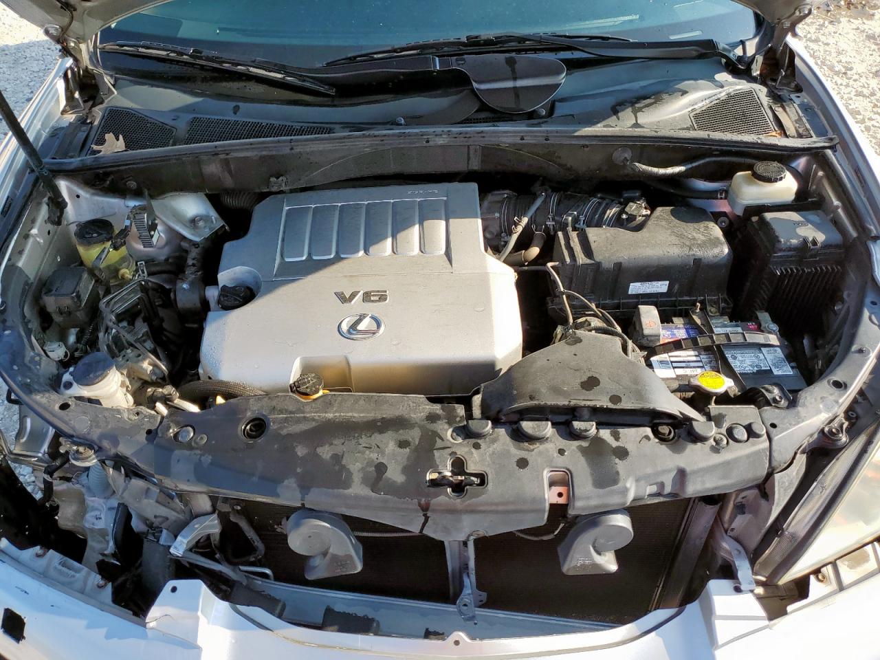 2009 Lexus Rx 350 VIN: 2T2GK31U69C081404 Lot: 67740545