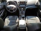 2014 FORD ESCAPE SE   à vendre chez Copart AB - CALGARY