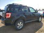 2009 FORD ESCAPE XLT   à vendre chez Copart AB - CALGARY