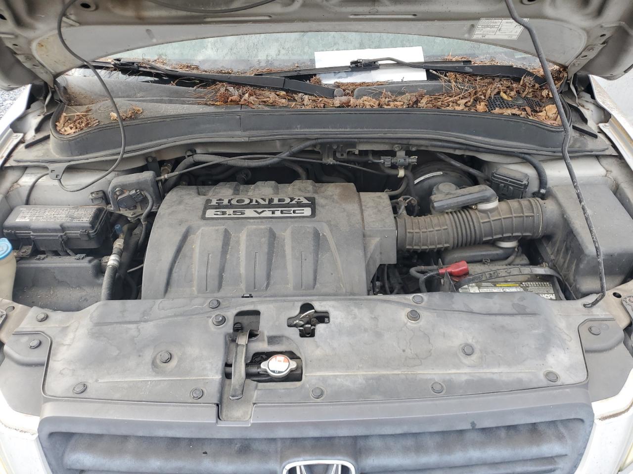 2005 Honda Pilot Exl VIN: 5FNYF18545B03642 Lot: 70284935