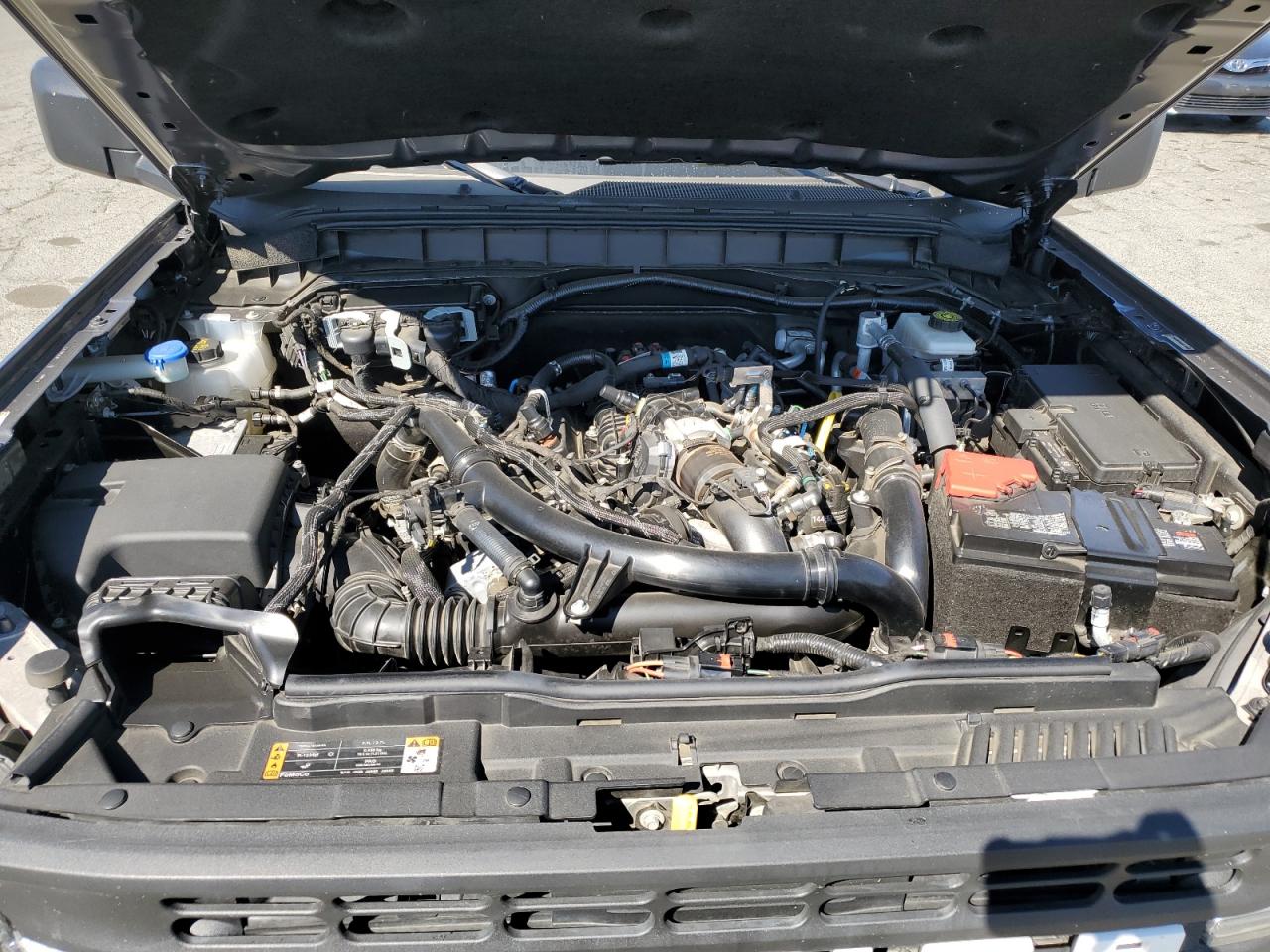 2024 Ford Bronco Black Diamond VIN: 1FMEE1BP6RLA09901 Lot: 70546205