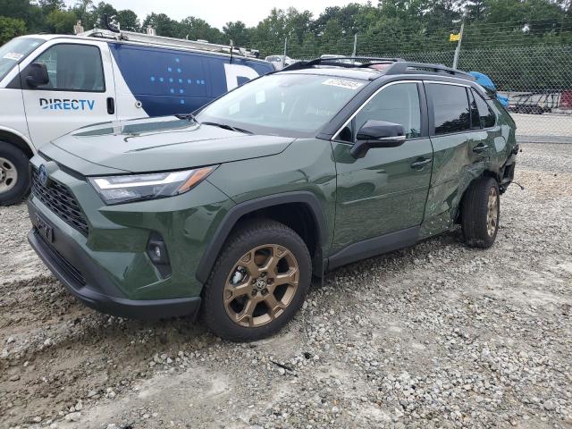 TOYOTA RAV4 WOODL 2024