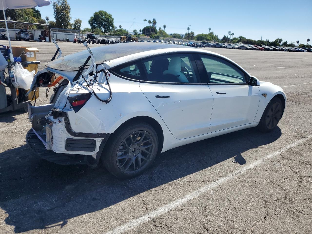 2024 Tesla Model 3 white null electric 5YJ3E1EA4RF849701 photo #4
