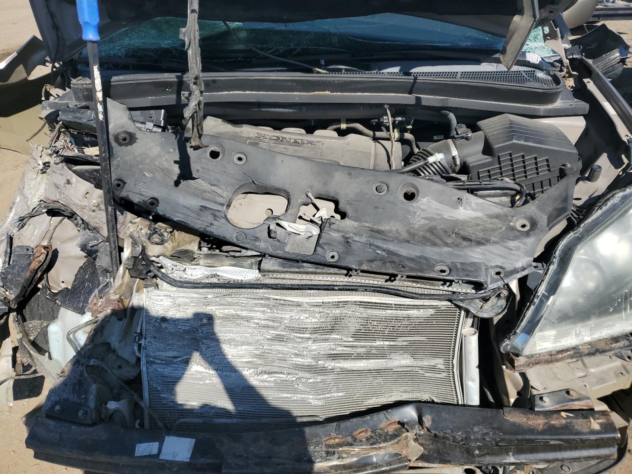 2007 Honda Odyssey Ex VIN: 5FNRL38417B513227 Lot: 68752785