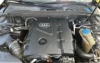 2013 AUDI A4 PREMIUM PLUS   for sale at Copart FL - ORLANDO SOUTH