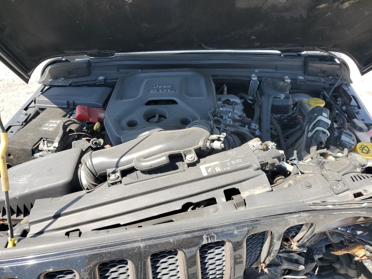 2019 Jeep Wrangler Unlimited Sahara VIN: 1C4HJXEN5KW595554 Lot: 70926085