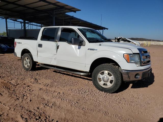  FORD F-150 2013 White