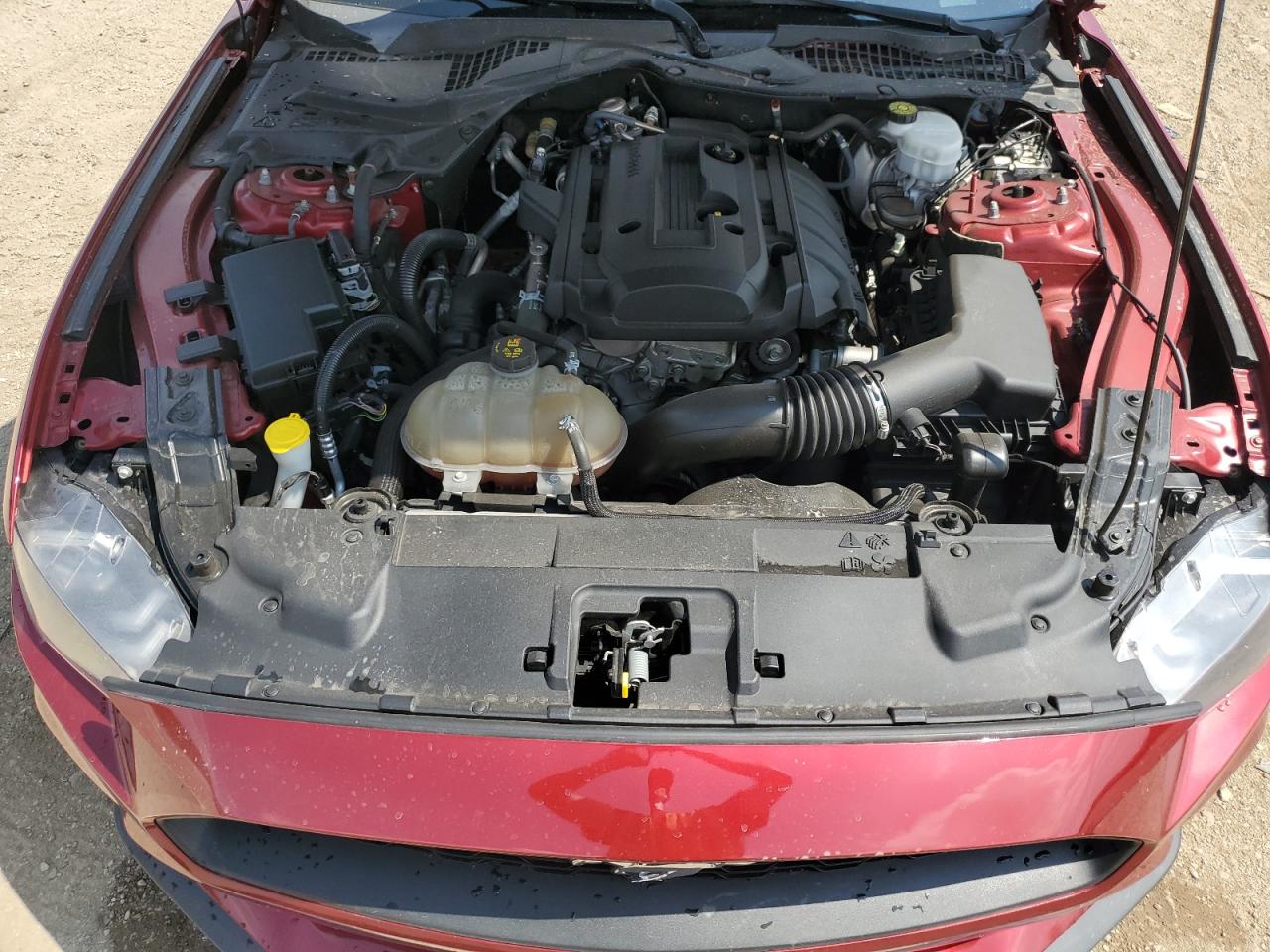 2019 Ford Mustang VIN: 1FA6P8TH3K5124443 Lot: 69131355