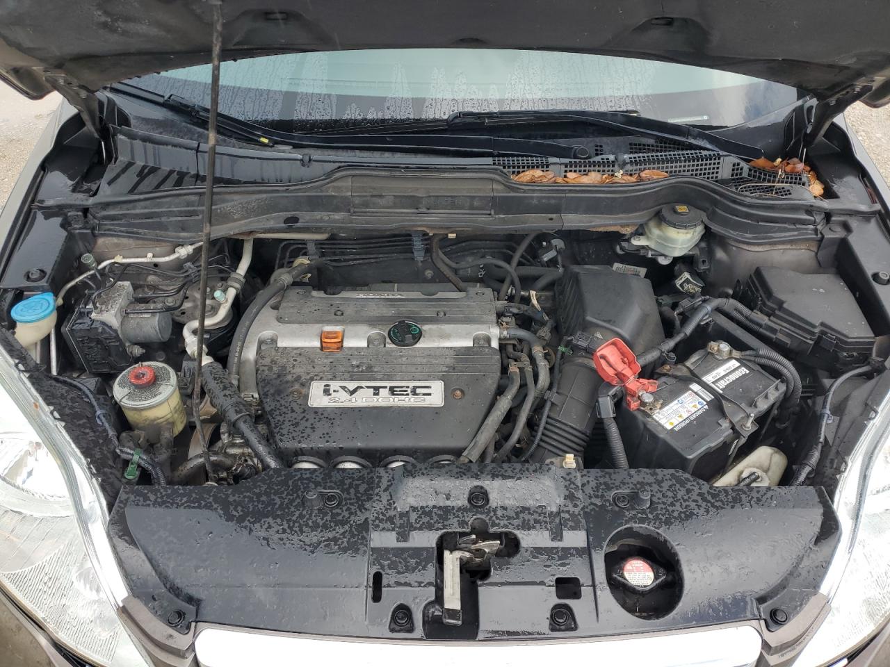 2009 Honda Cr-V Ex VIN: 5J6RE38509L025688 Lot: 70834655