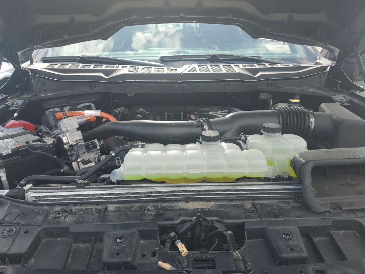 2024 Ford F150 Xlt VIN: 1FTFW3LD2RFB83856 Lot: 69370145