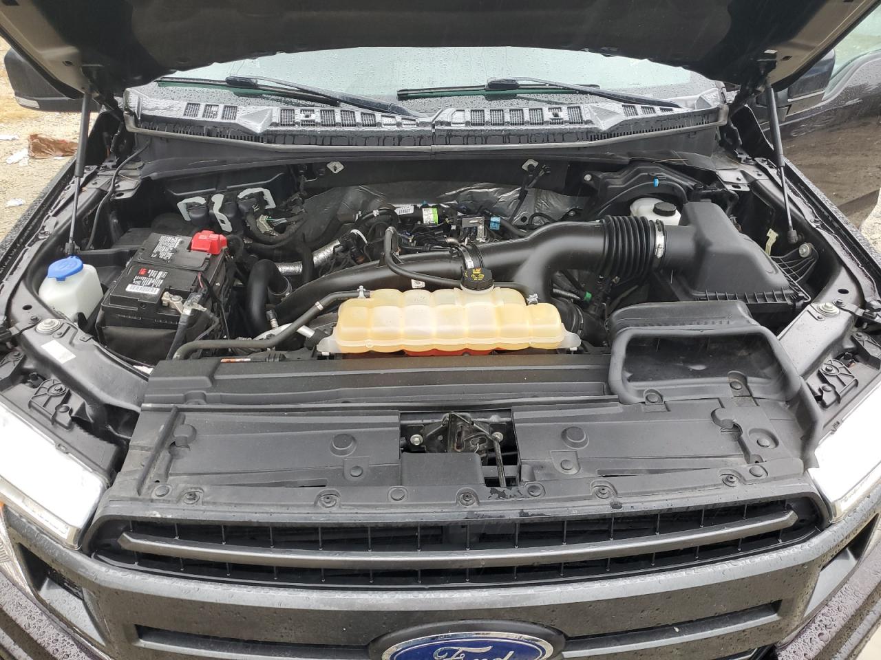 2019 Ford F150 Supercrew VIN: 1FTEW1EP6KFA34377 Lot: 66027695