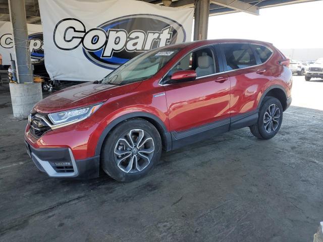  HONDA CRV 2021 Бургунди