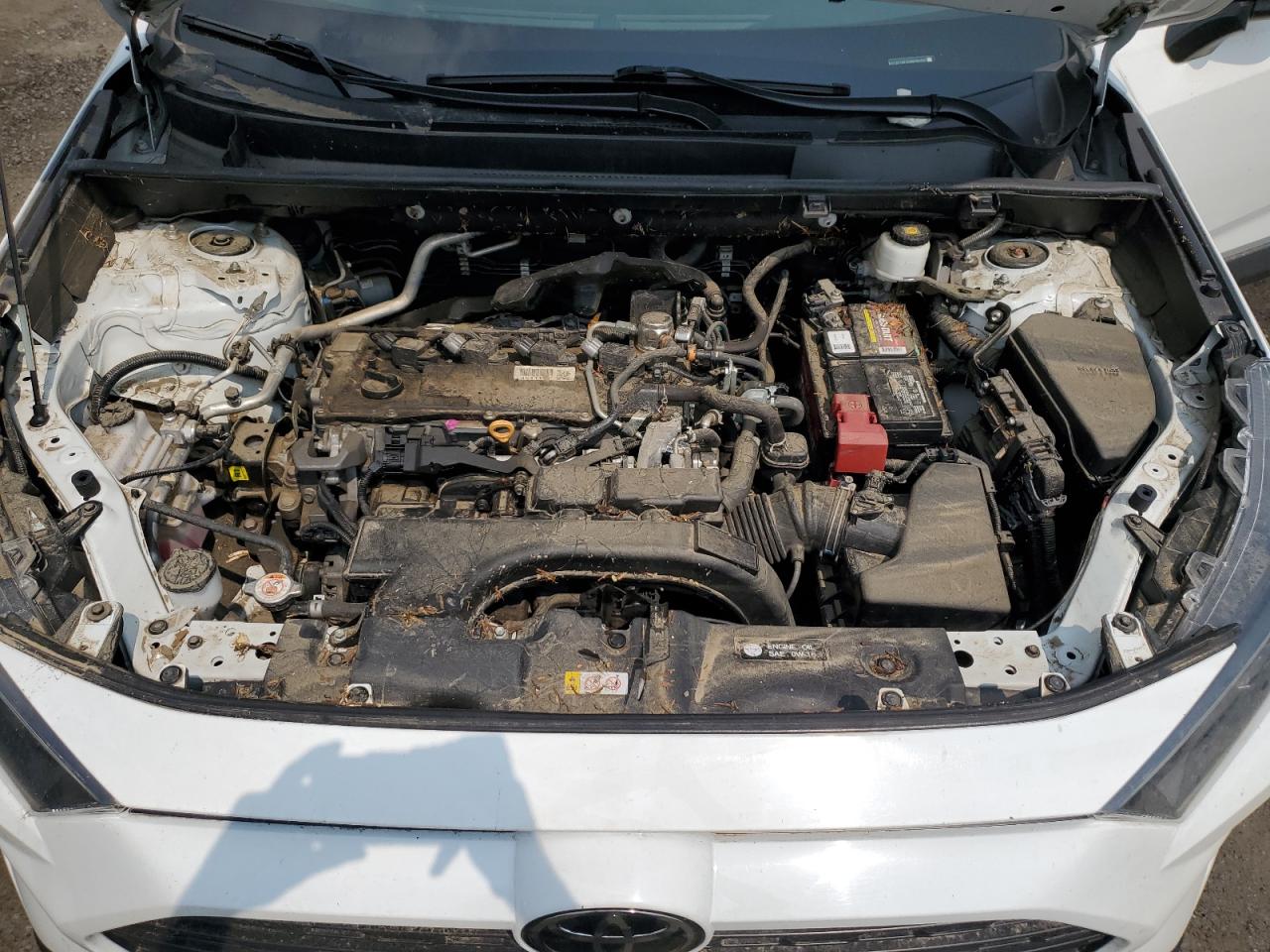 2021 Toyota Rav4 Le VIN: 2T3F1RFV5MW194900 Lot: 67352665