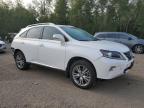 2014 LEXUS RX 350 BASE   à vendre chez Copart ON - COOKSTOWN