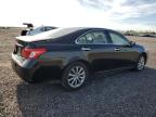 2009 LEXUS ES 350   for sale at Copart ON - OTTAWA