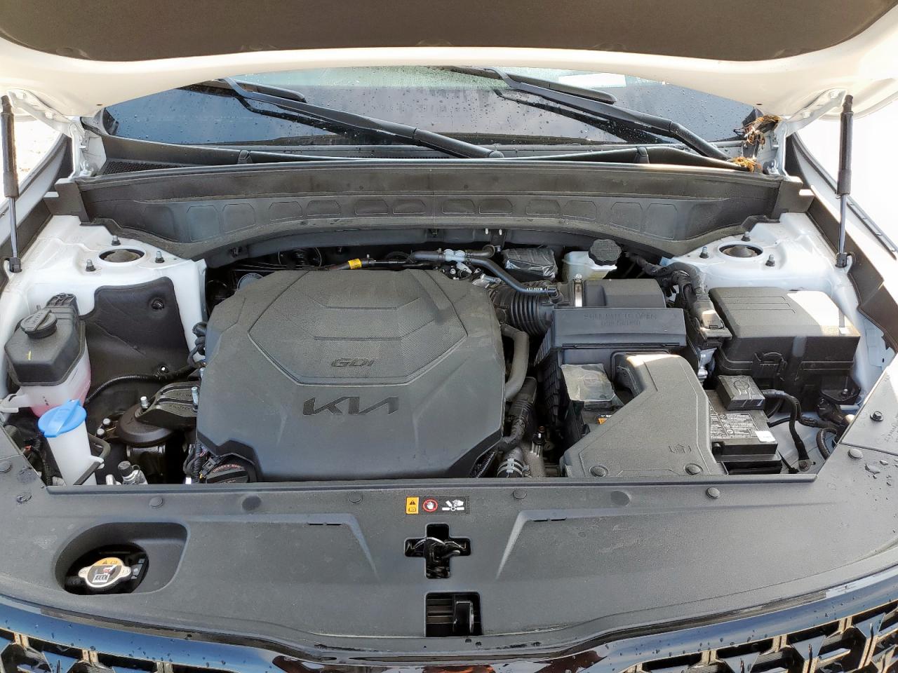 2025 Kia Telluride Sx VIN: 5XYP5DGC2SG640067 Lot: 69886835