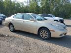 2002 LEXUS ES 300   for sale at Copart ON - COOKSTOWN