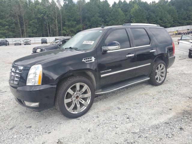 2011 Cadillac Escalade