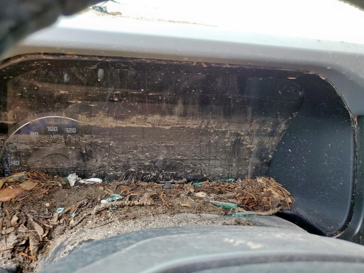 2023 Ford Bronco Base VIN: 1FMEE5DP1PLC02975 Lot: 69251805