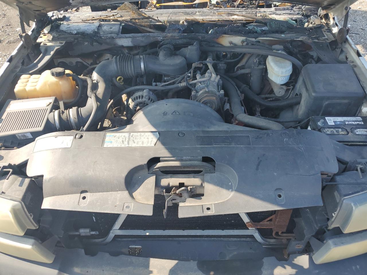 2003 Chevrolet Silverado C1500 VIN: 1GCEC14X33Z350572 Lot: 68664425