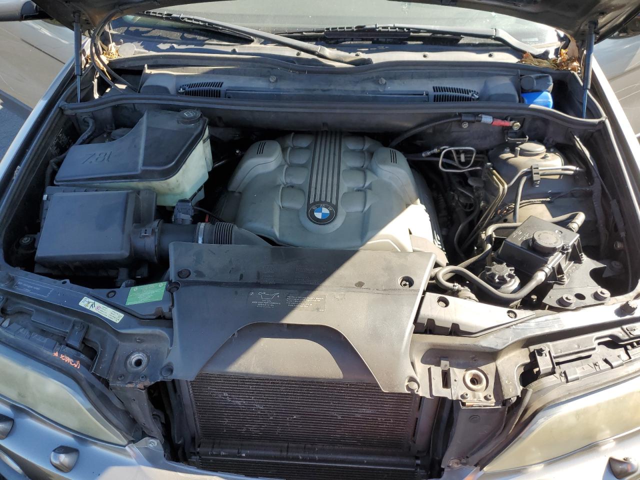 2005 BMW X5 4.4I VIN: 5UXFB53575LV13453 Lot: 67420935