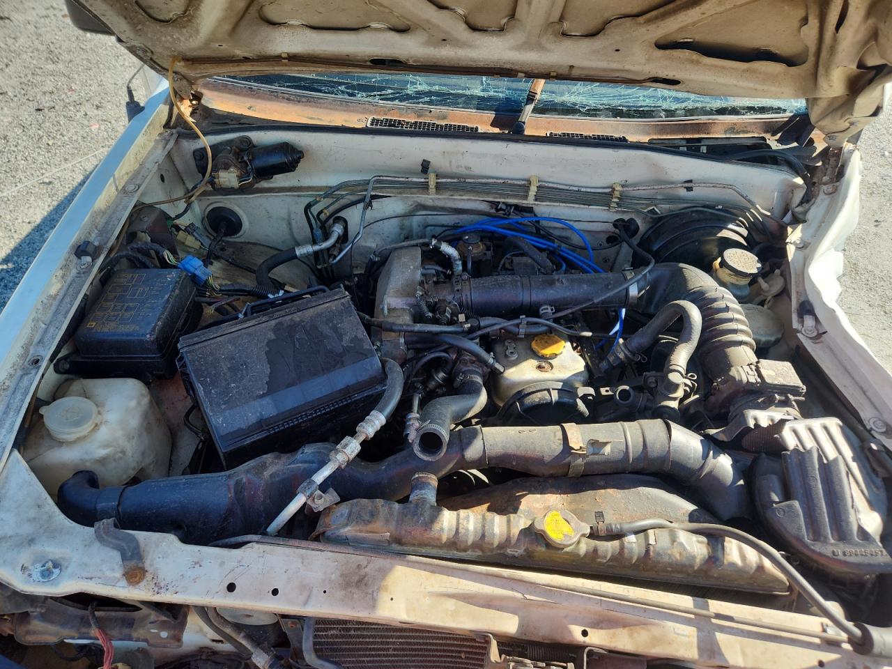 1991 Isuzu Conventional Short Bed VIN: JAACR11E0M7202571 Lot: 70058095