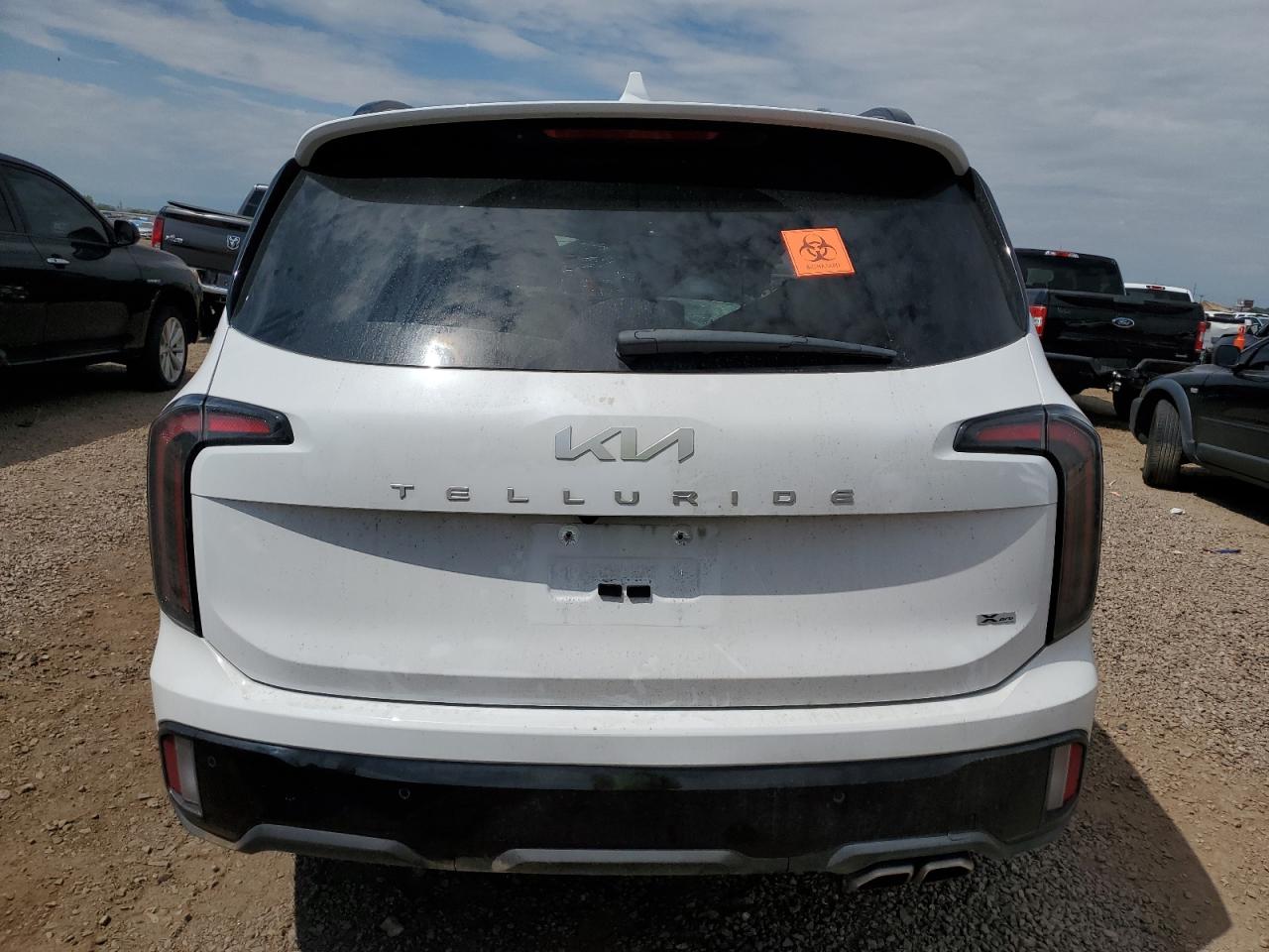 2024 Kia Telluride Sx VIN: 5XYP5DGC1RG521131 Lot: 71097205