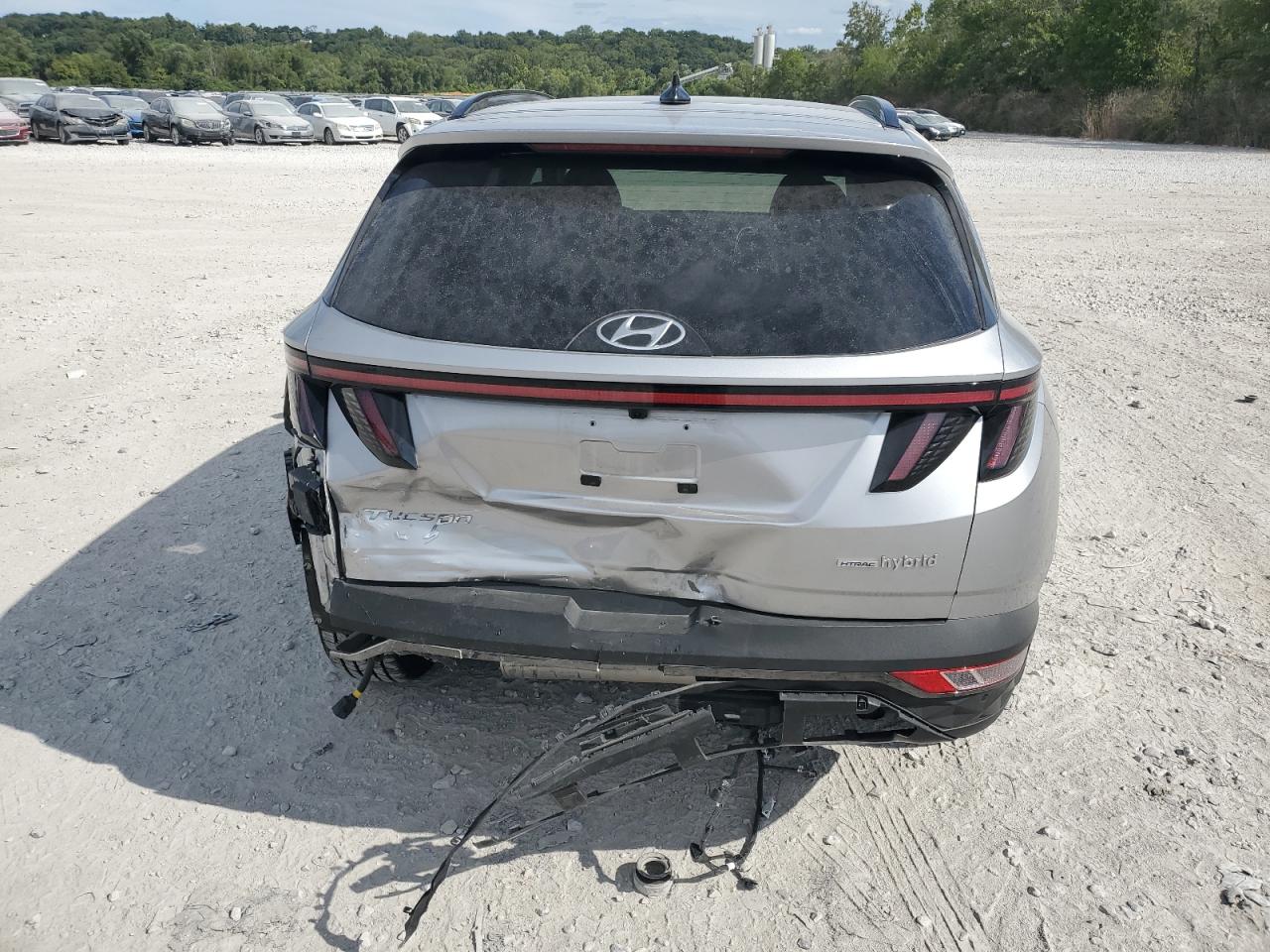 2024 Hyundai Tucson Limited VIN: KM8JECD18RU154404 Lot: 70169585