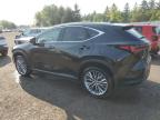 2025 LEXUS NX 350H BASE   for sale at Copart ON - TORONTO