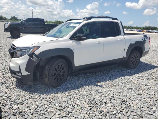  HONDA RIDGELINE 2023 Biały