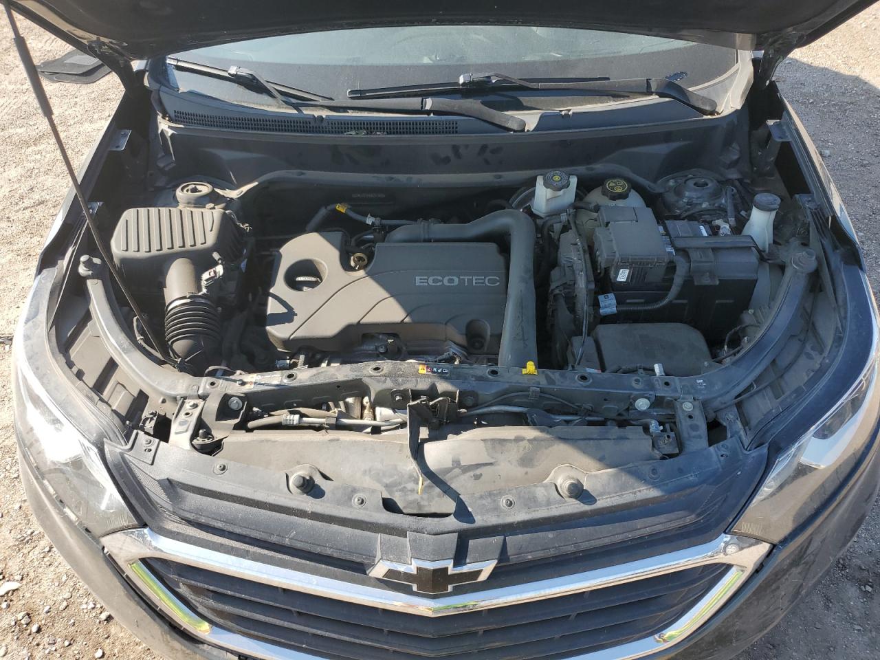 2019 Chevrolet Equinox Lt VIN: 2GNAXJEV4K6231463 Lot: 68413695