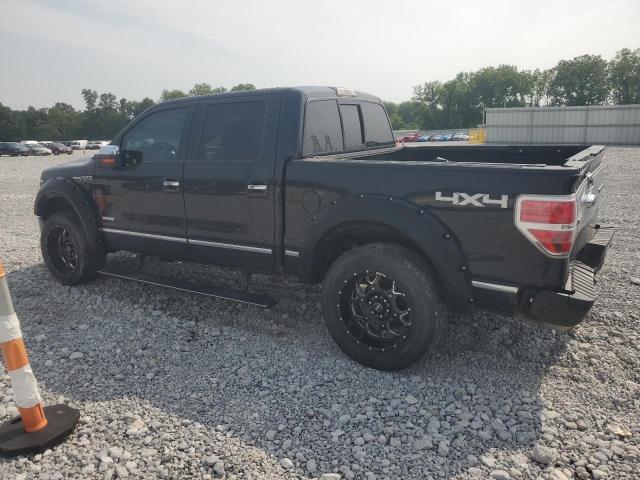 Pickups FORD F-150 2014 Black