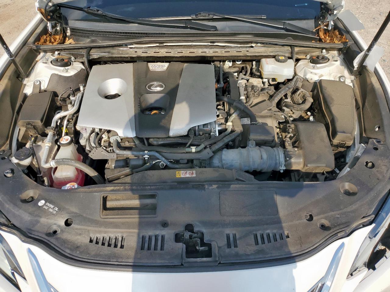 2021 Lexus Es 300H Luxury VIN: 58AEA1C1XMU010695 Lot: 80331225