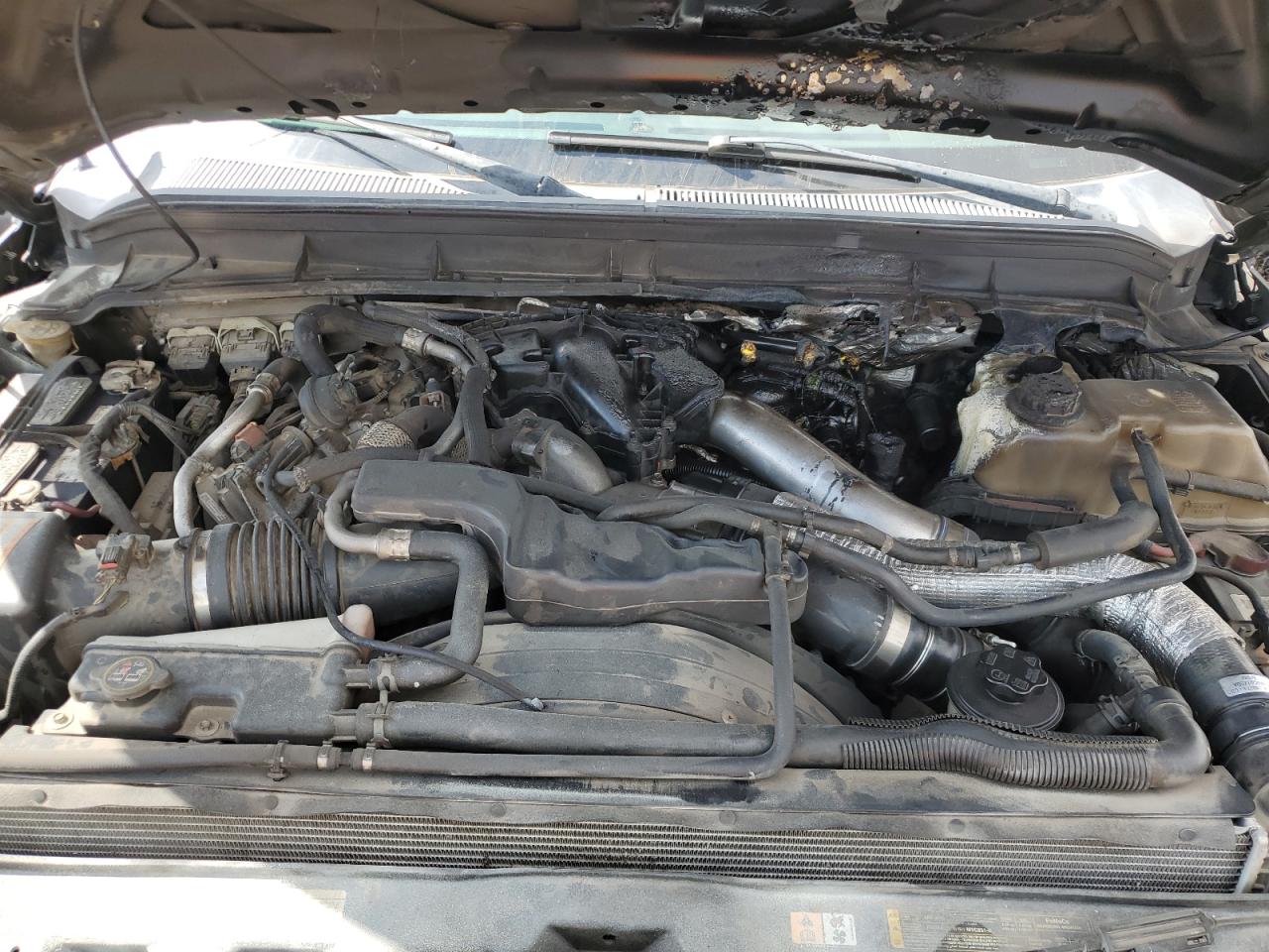 2014 Ford F350 Super Duty VIN: 1FT8W3DT4EEA63216 Lot: 67639845