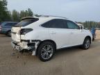 2014 LEXUS RX 350 BASE   à vendre chez Copart ON - COOKSTOWN