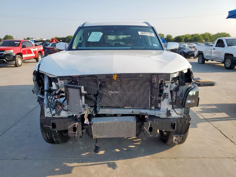 INFINITI QX80 2025 Белы
