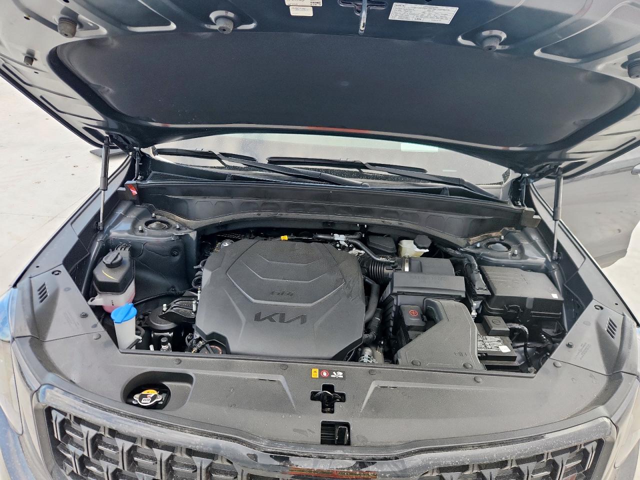 2025 Kia Telluride Sx VIN: 5XYP5DGC0SG637653 Lot: 67949475