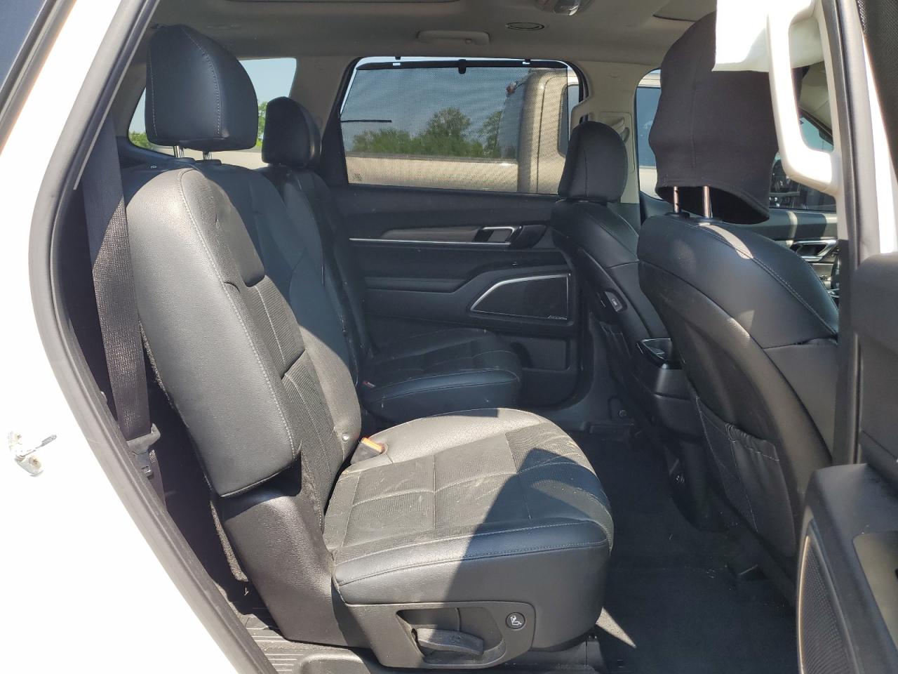 2022 Kia Telluride Sx VIN: 5XYP54HC1NG325070 Lot: 67021805