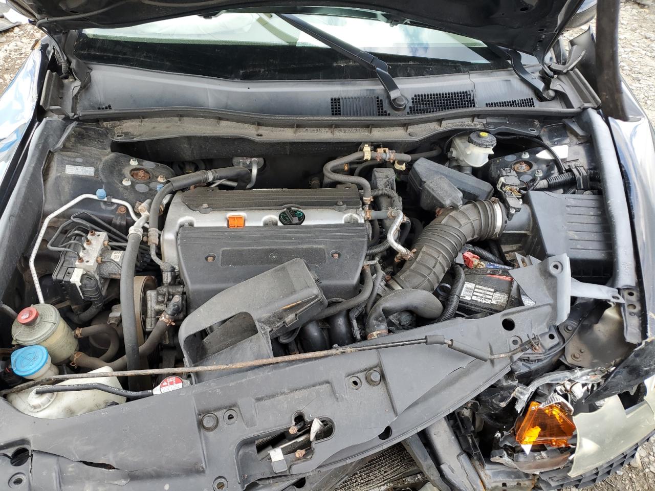 2009 Honda Accord Lxp VIN: 1HGCP26489A119566 Lot: 70274785