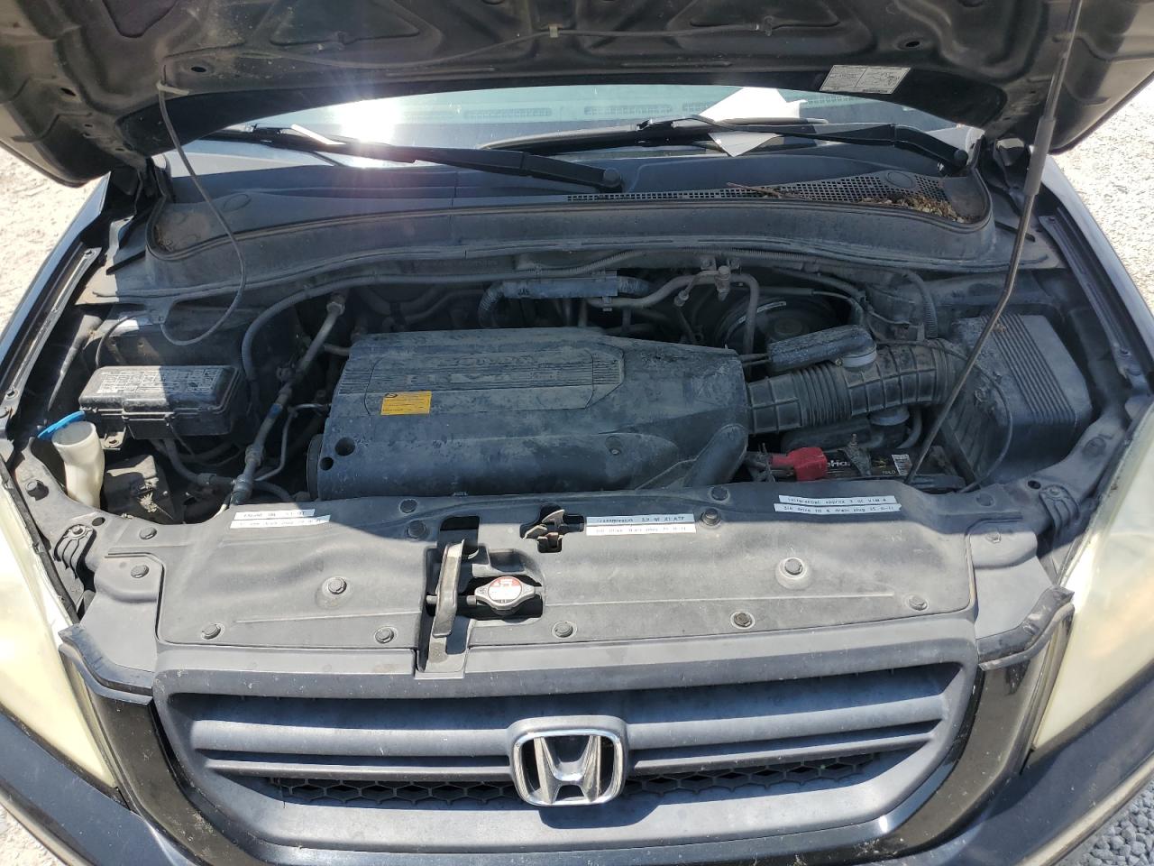 2004 Honda Pilot Exl VIN: 5FNYF18514B009725 Lot: 68769395