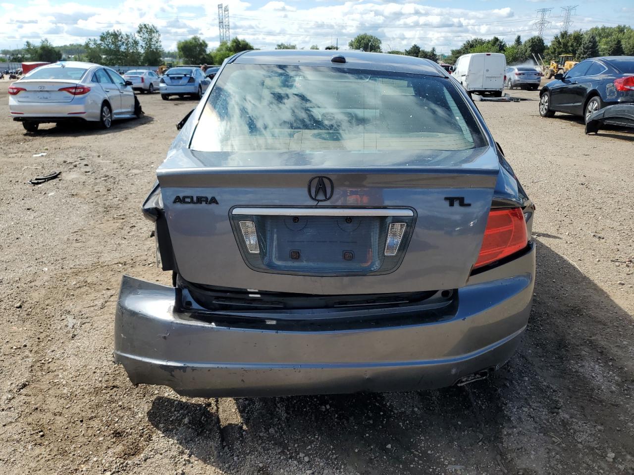 2004 Acura Tl VIN: 19UUA66284A068901 Lot: 69856445