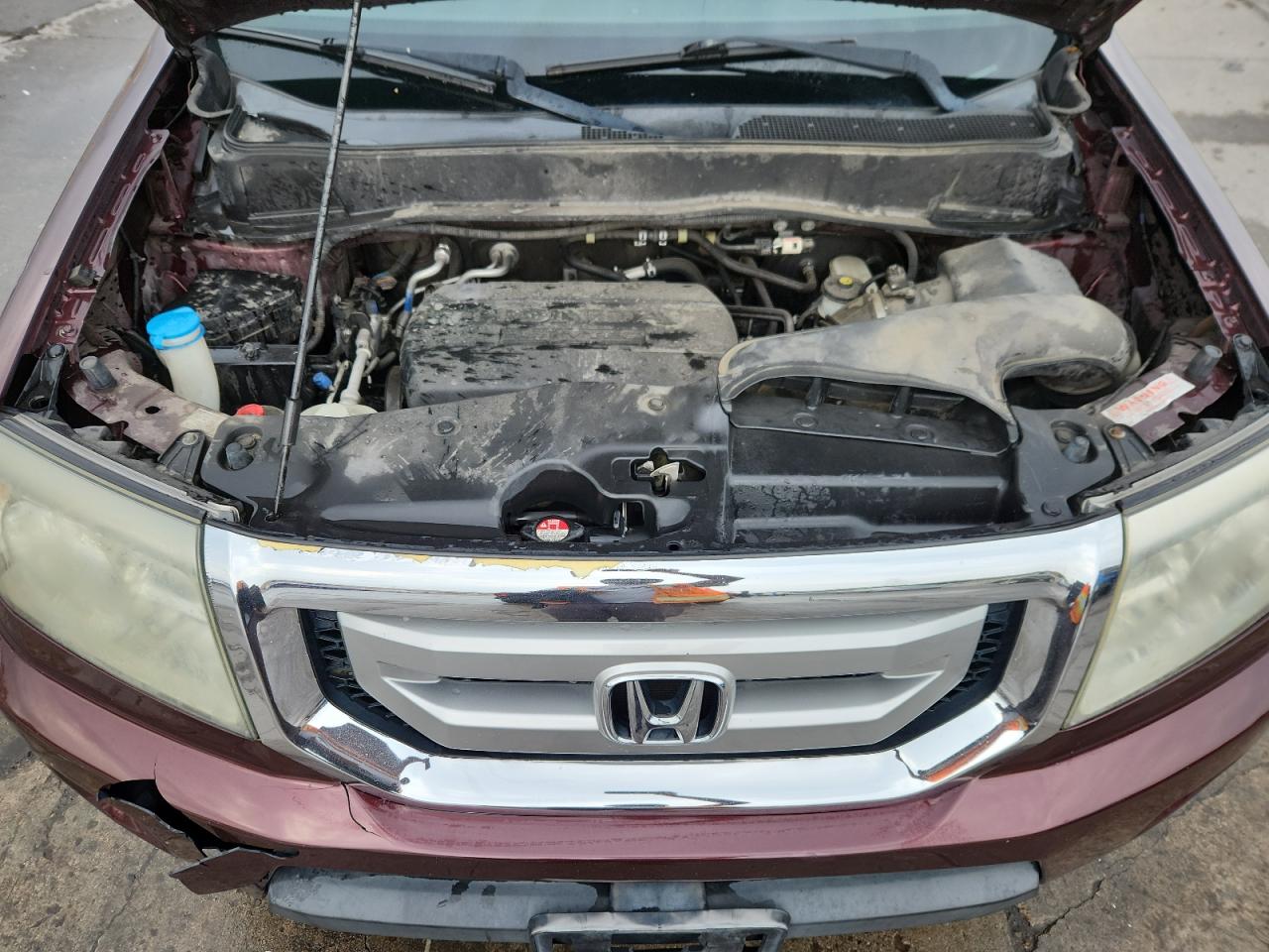 2011 Honda Pilot Exl VIN: 5FNYF4H52BB071522 Lot: 70353635